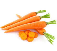 Carrot