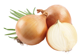 Onion